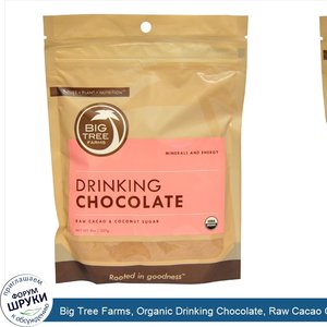 Big_Tree_Farms__Organic_Drinking_Chocolate__Raw_Cacao_Coconut_Sugar__8_oz__227_g_.jpg