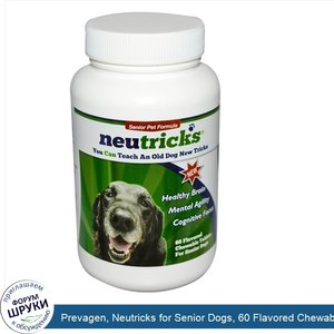 Prevagen__Neutricks_for_Senior_Dogs__60_Flavored_Chewable_Tablets.jpg