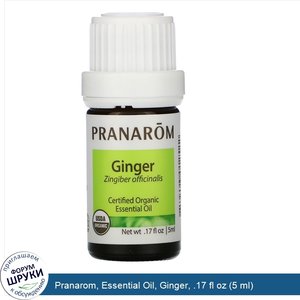 Pranarom__Essential_Oil__Ginger__.17_fl_oz__5_ml_.jpg