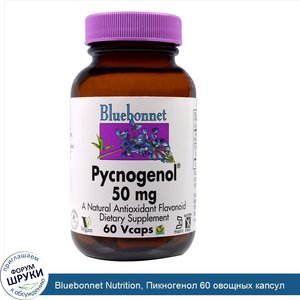 Bluebonnet_Nutrition__Пикногенол_60_овощных_капсул.jpg