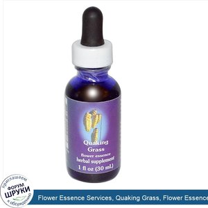 Flower_Essence_Services__Quaking_Grass__Flower_Essence__1_fl_oz__30_ml_.jpg