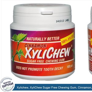 Xylichew__XyliChew_Sugar_Free_Chewing_Gum__Cinnamon__100_Pcs.jpg