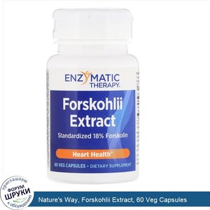 Nature_s_Way__Forskohlii_Extract__60_Veg_Capsules.jpg