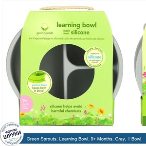 Green_Sprouts__Learning_Bowl__9__Months__Gray__1_Bowl.jpg