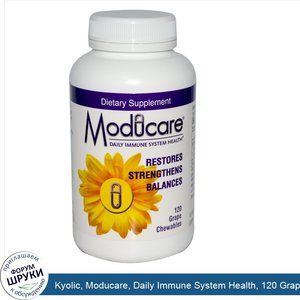 Kyolic__Moducare__Daily_Immune_System_Health__120_Grape_Chewables.jpg