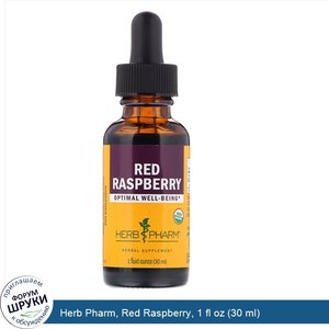 Herb_Pharm__Red_Raspberry__1_fl_oz__30_ml_.jpg