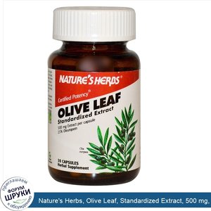 Nature_s_Herbs__Olive_Leaf__Standardized_Extract__500_mg__30_Capsules.jpg