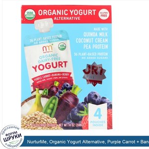 NurturMe__Organic_Yogurt_Alternative__Purple_Carrot___Banana___Berry__4_Pouches__3.5_oz__99_g_...jpg