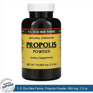 Y.S._Eco_Bee_Farms__Propolis_Powder__850_mg__2.5_oz.jpg