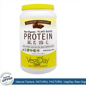 Natural_Factors__NATURAL_FACTORS__VegiDay_Raw_Organic_Plant_Based_Protein___Decadent_Chocolate...jpg