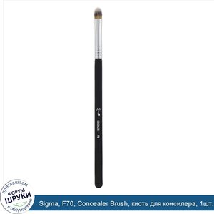 Sigma__F70__Concealer_Brush__кисть_для_консилера__1шт..jpg