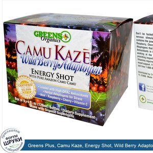 Greens_Plus__Camu_Kaze__Energy_Shot__Wild_Berry_Adaptogen__9_Bottles__4_fl_oz__120_ml__Each.jpg