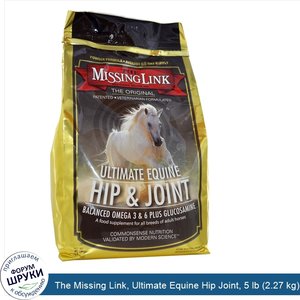 The_Missing_Link__Ultimate_Equine_Hip_Joint__5_lb__2.27_kg_.jpg