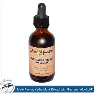 Mate_Factor__Yerba_Mat__Extract_with_Guarana__Alcohol_Free__2_fl_oz__60_ml_.jpg