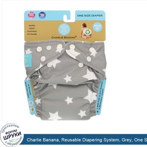 Charlie_Banana__Reusable_Diapering_System__Grey__One_Size_Diaper__1_Diaper.jpg