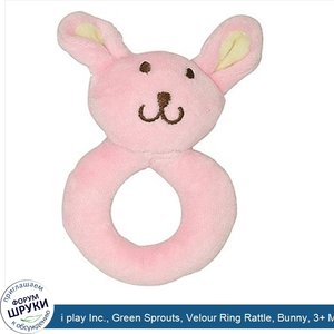 i_play_Inc.__Green_Sprouts__Velour_Ring_Rattle__Bunny__3__Months__1_Rattle.jpg