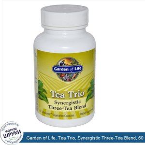 Garden_of_Life__Tea_Trio__Synergistic_Three_Tea_Blend__60_UltraZorbe_Capsules.jpg