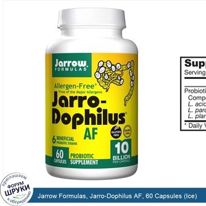 Jarrow_Formulas__Jarro_Dophilus_AF__60_Capsules__Ice_.jpg