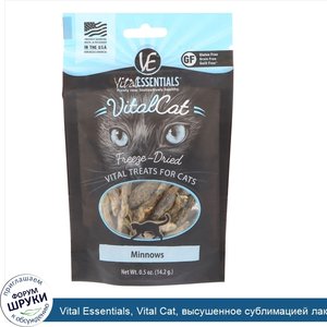 Vital_Essentials__Vital_Cat__высушенное_сублимацией_лакомство_для_кошек__пескарь__0_5_унц.__14...jpg