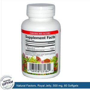 Natural_Factors__Royal_Jelly__500_mg__60_Softgels.jpg