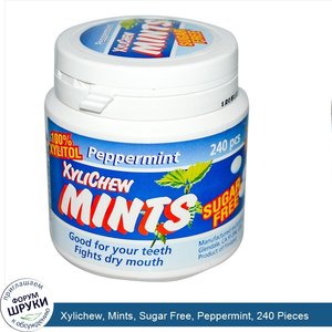 Xylichew__Mints__Sugar_Free__Peppermint__240_Pieces.jpg