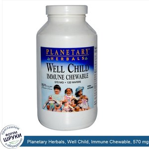 Planetary_Herbals__Well_Child__Immune_Chewable__570_mg__120_Wafers.jpg