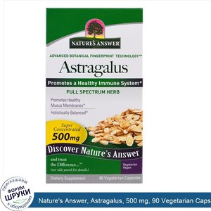 Nature_s_Answer__Astragalus__500_mg__90_Vegetarian_Capsules.jpg