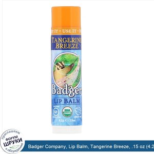 Badger_Company__Lip_Balm__Tangerine_Breeze__.15_oz__4.2_g_.jpg