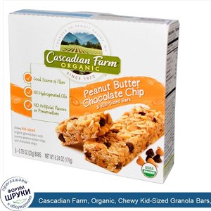 Cascadian_Farm__Organic__Chewy_Kid_Sized_Granola_Bars__Peanut_Butter_Chocolate_Chip__8_Bars__0...jpg