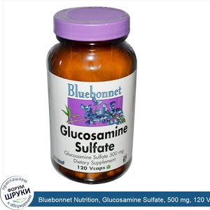 Bluebonnet_Nutrition__Glucosamine_Sulfate__500_mg__120_Vcaps.jpg