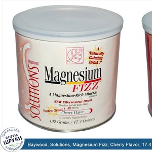 Baywood__Solutions__Magnesium_Fizz__Cherry_Flavor__17.4_oz__492_g_.jpg