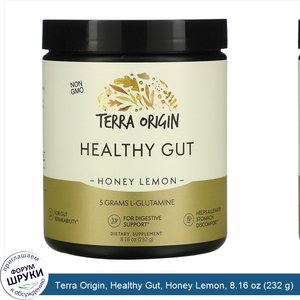 Terra_Origin__Healthy_Gut__Honey_Lemon__8.16_oz__232_g_.jpg