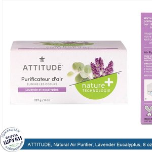 ATTITUDE__Natural_Air_Purifier__Lavender_Eucalyptus__8_oz__227_g_.jpg