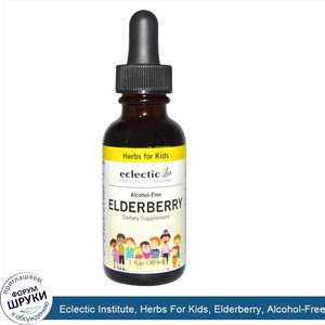 Eclectic_Institute__Herbs_For_Kids__Elderberry__Alcohol_Free__1_fl_oz__30_ml_.jpg