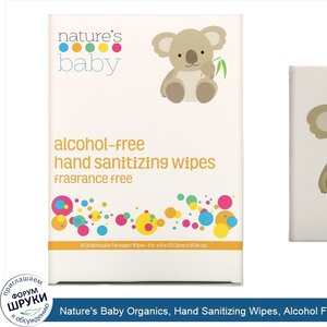 Nature_s_Baby_Organics__Hand_Sanitizing_Wipes__Alcohol_Free__Fragrance_Free___60_Individually_...jpg