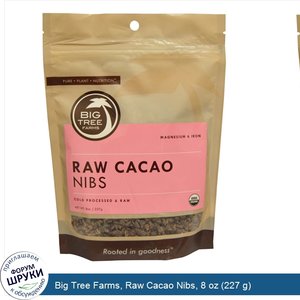 Big_Tree_Farms__Raw_Cacao_Nibs__8_oz__227_g_.jpg