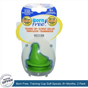 Born_Free__Training_Cup_Soft_Spouts__6__Months__2_Pack.jpg