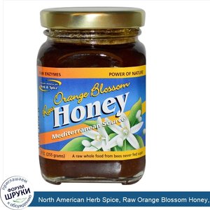 North_American_Herb_Spice__Raw_Orange_Blossom_Honey__9_oz__255_g_.jpg