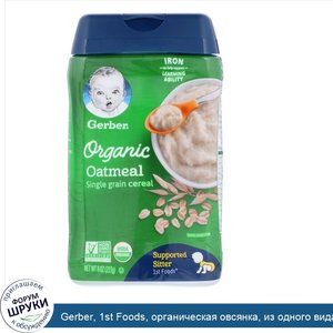 Gerber__1st_Foods__органическая_овсянка__из_одного_вида_злаков__227г__8унций_.jpg