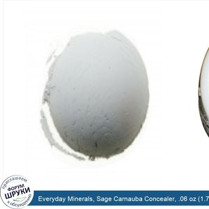 Everyday_Minerals__Sage_Carnauba_Concealer__.06_oz__1.7_g_.jpg