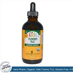 Herb_Pharm__Organic__Kids_Tummy_TLC__Alcohol_Free__4_fl_oz__120_ml_.jpg