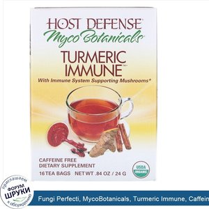 Fungi_Perfecti__MycoBotanicals__Turmeric_Immune__Caffeine_Free__16_Tea_Bags__0.84_oz__24_g__Each.jpg