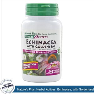 Nature_s_Plus__Herbal_Actives__Echinacea__with_Goldenseal__60_Veggie_Caps.jpg