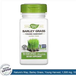 Nature_s_Way__Barley_Grass__Young_Harvest__1_500_mg__100_Vegan_Capsules.jpg