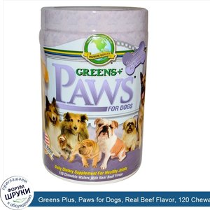 Greens_Plus__Paws_for_Dogs__Real_Beef_Flavor__120_Chewable_Wafers.jpg