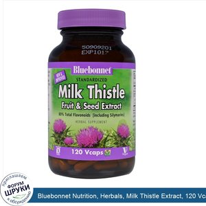 Bluebonnet_Nutrition__Herbals__Milk_Thistle_Extract__120_Vcaps.jpg