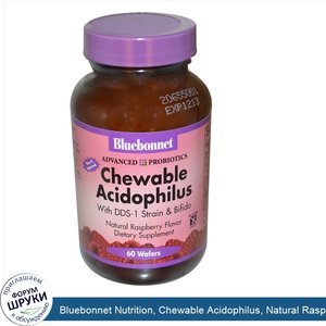 Bluebonnet_Nutrition__Chewable_Acidophilus__Natural_Raspberry_Flavor__60_Wafers__Ice_.jpg