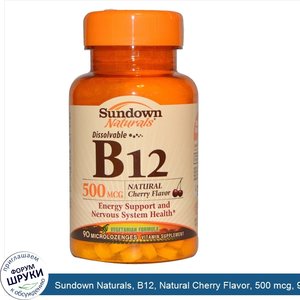 Sundown_Naturals__B12__Natural_Cherry_Flavor__500_mcg__90_Microlozenges.jpg