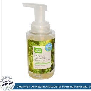 CleanWell__All_Natural_Antibacterial_Foaming_Handsoap__Spearmint_Lime__9.5_fl_oz__280_ml_.jpg