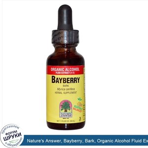 Nature_s_Answer__Bayberry__Bark__Organic_Alcohol_Fluid_Extract__1_1___1_fl_oz__30_ml_.jpg